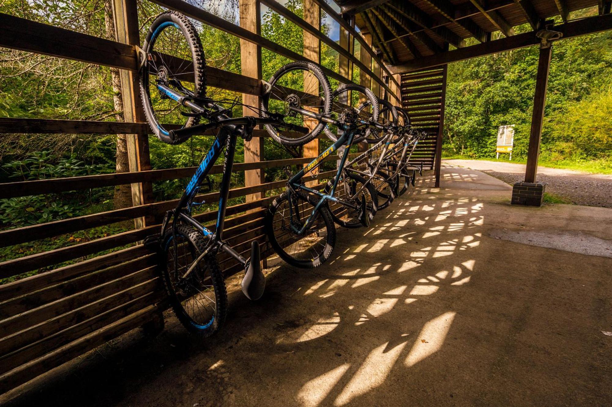 Afan Forest Retreat Cozy Getaway, Pet Friendly Cymmer المظهر الخارجي الصورة
