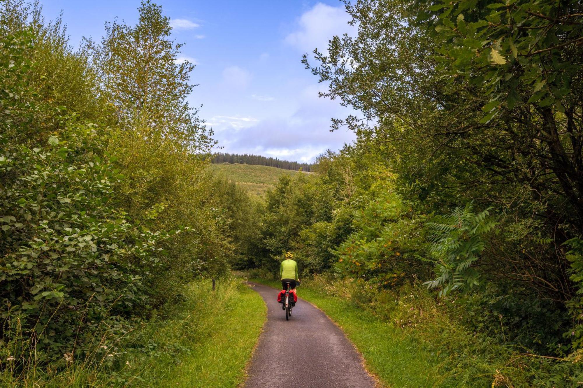Afan Forest Retreat Cozy Getaway, Pet Friendly Cymmer المظهر الخارجي الصورة