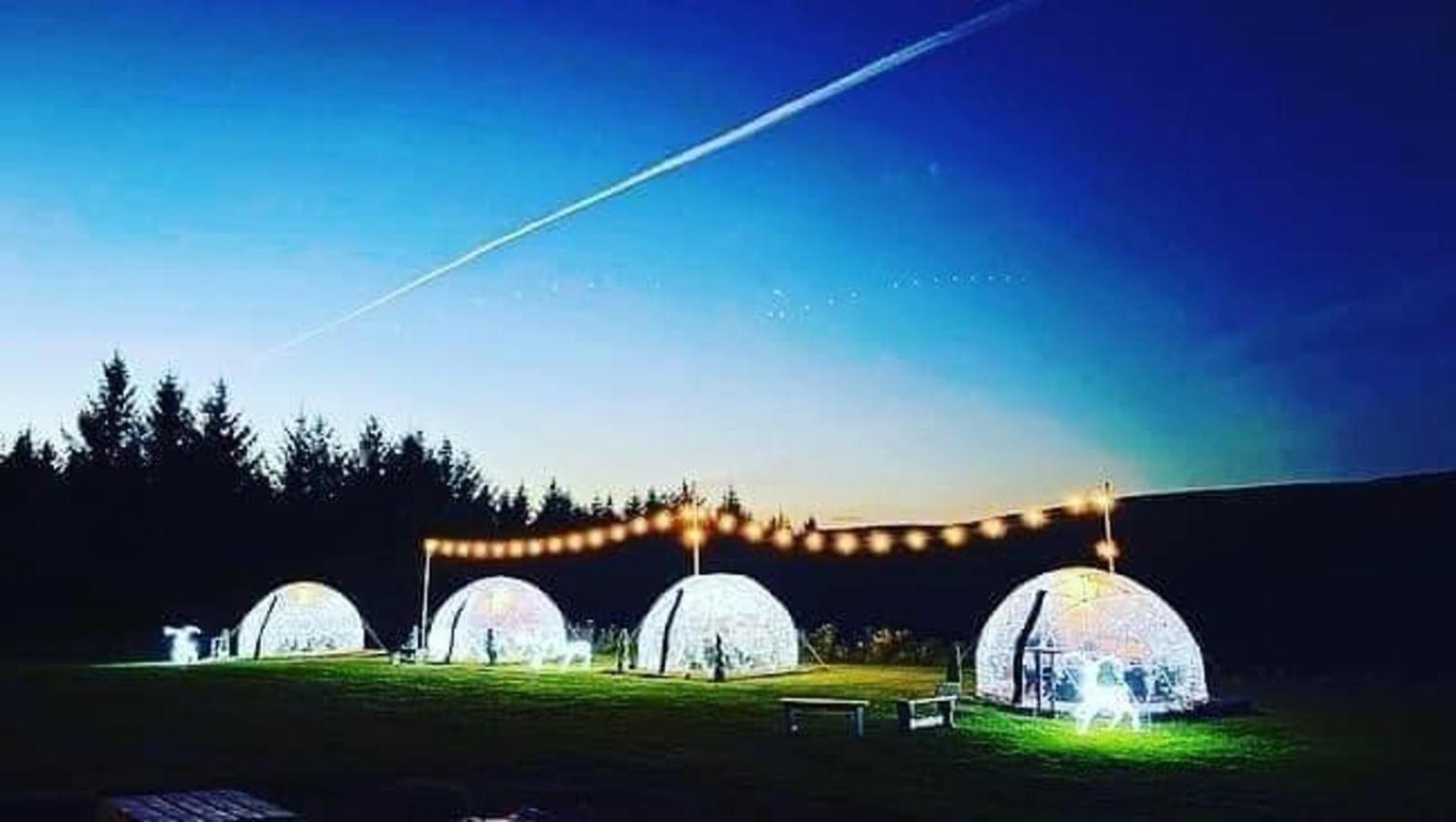 Afan Forest Retreat Cozy Getaway, Pet Friendly Cymmer المظهر الخارجي الصورة