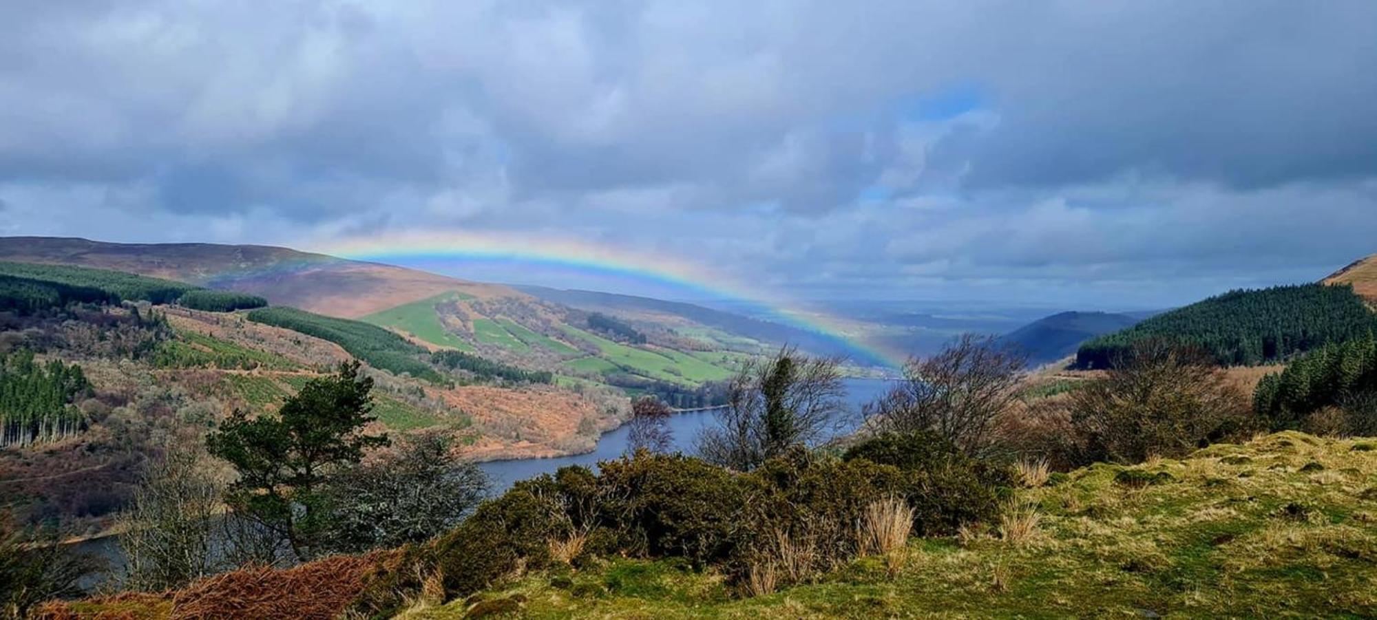 Afan Forest Retreat Cozy Getaway, Pet Friendly Cymmer المظهر الخارجي الصورة